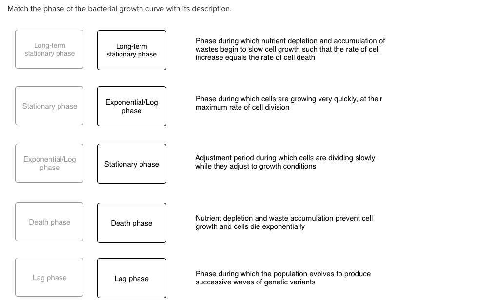 Solved Match the phase of the bacterial growth curve with
