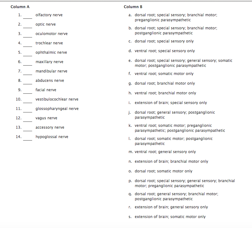 Solved For each of the following, match the cranial nerve | Chegg.com