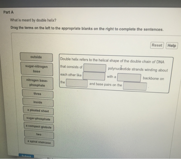 Solved What is meant by double helix? Drag the terms on the