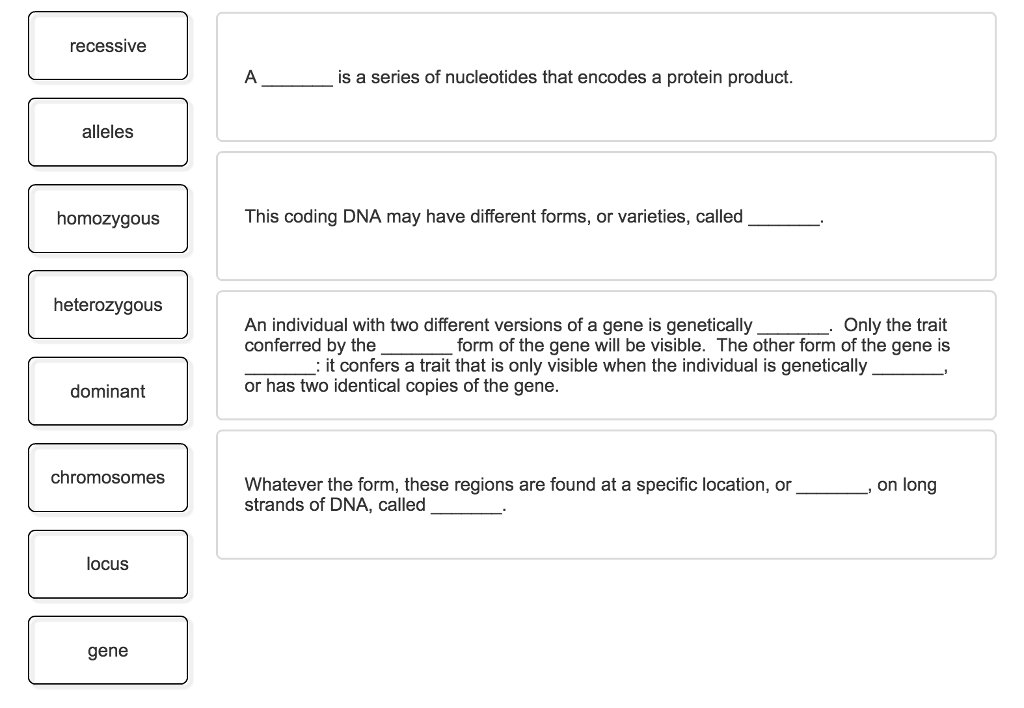 Solved Gene terms and locations Complete the following | Chegg.com