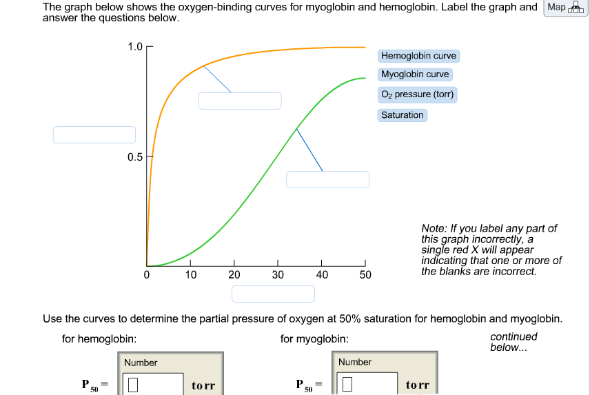 The graph below shows. Oxygen–hemoglobin dissociation curve. Co2 saturation curve. "Project Oxygen" Google статистика. У stat for Curved.