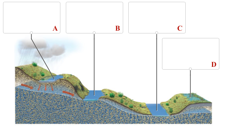Solved: This Figure Shows The Interaction Of Groundwater W... | Chegg.com