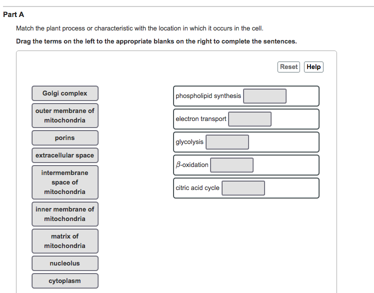 Solved Match the plant process or characteristic with the | Chegg.com