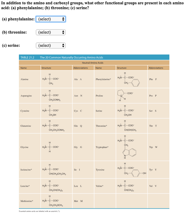 Solved In Addition To The Amino And Carboxyl Groups, What | Chegg.com