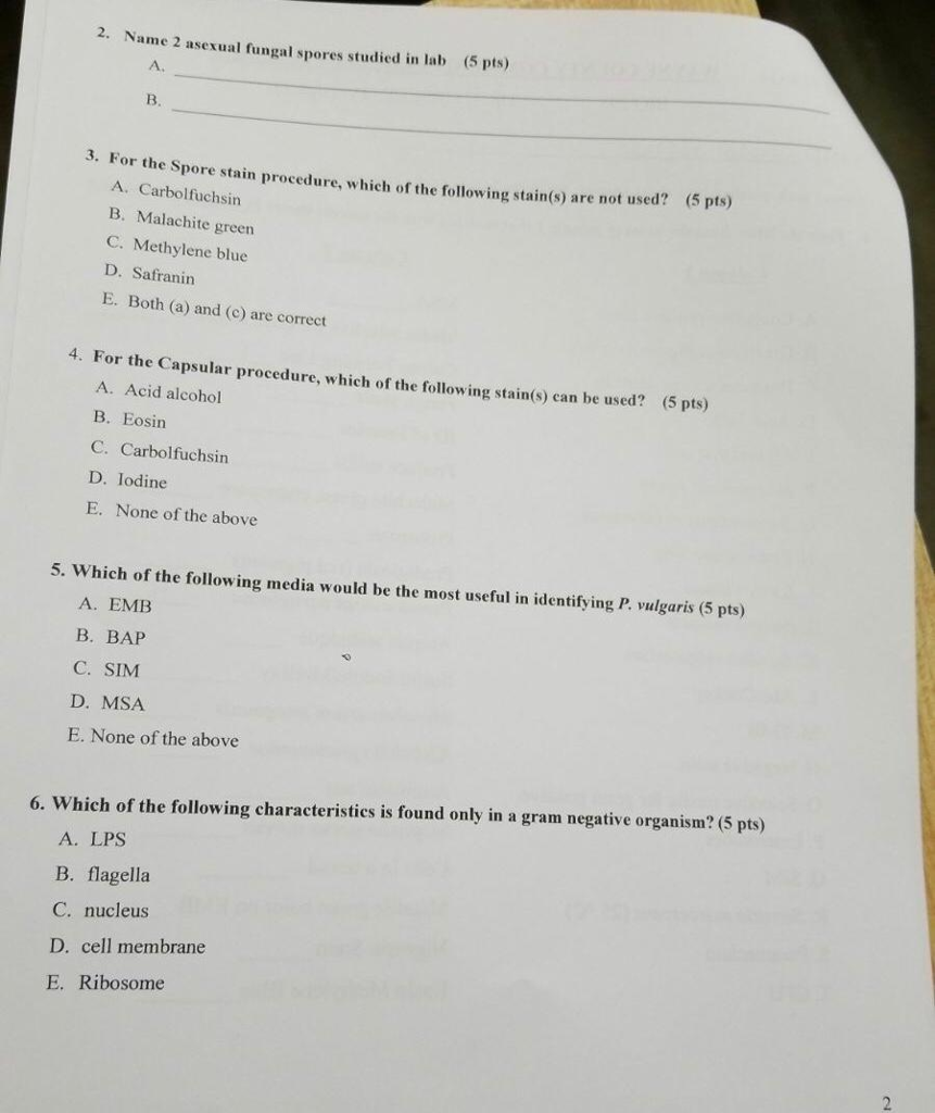 Solved 2. Name 2 asexual fungal spores studied in lab (5 | Chegg.com