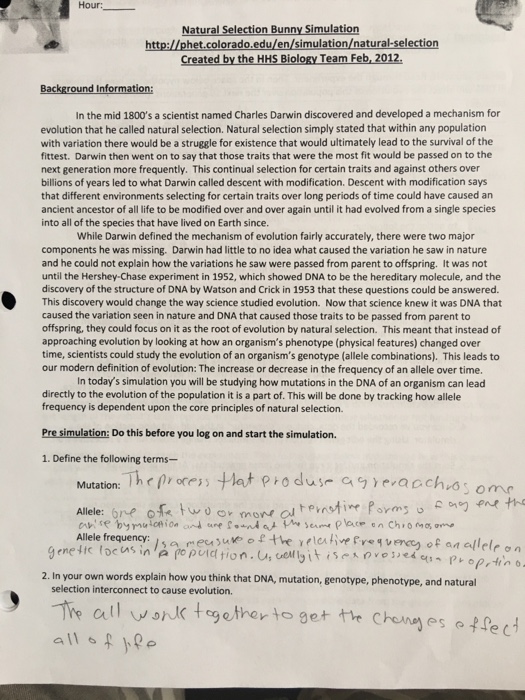 Natural Selection Bunny Simulation Answer Key – Alles, was Sie über ...