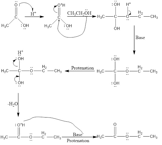 Solved We had an experiment about SYNTHESIS, ISOLATION AND | Chegg.com