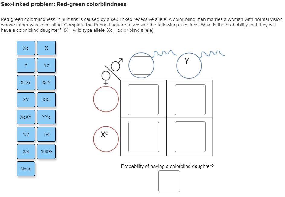 Solved Sex Linked Problem Red Green Colorblindness