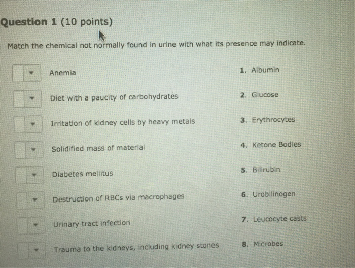 solved-match-the-chemical-not-normally-found-in-urine-with-chegg
