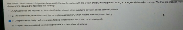 Solved The native conformation of a protein is generaly the | Chegg.com