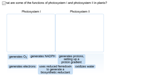 photosystem 1 and 2 functions