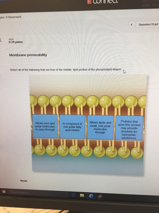 Solved Select all of the following that are true of the