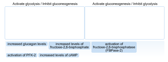 Fructose 2 6 bisphosphate