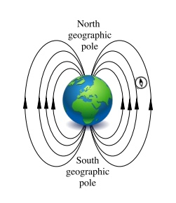 Solved Magnetic fields create magnetic field lines, just as | Chegg.com