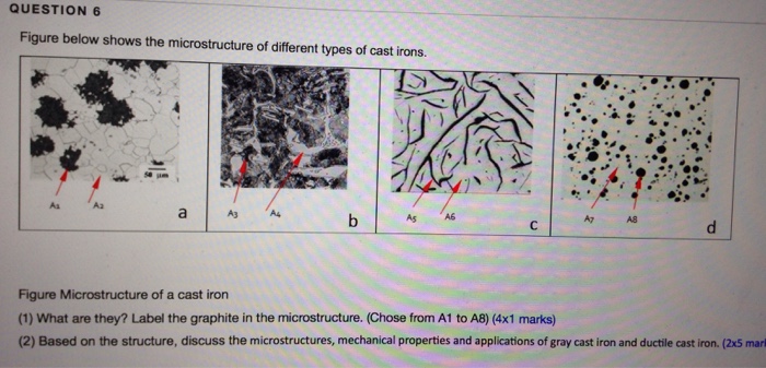 solved-figure-below-shows-the-microstructure-of-different-chegg