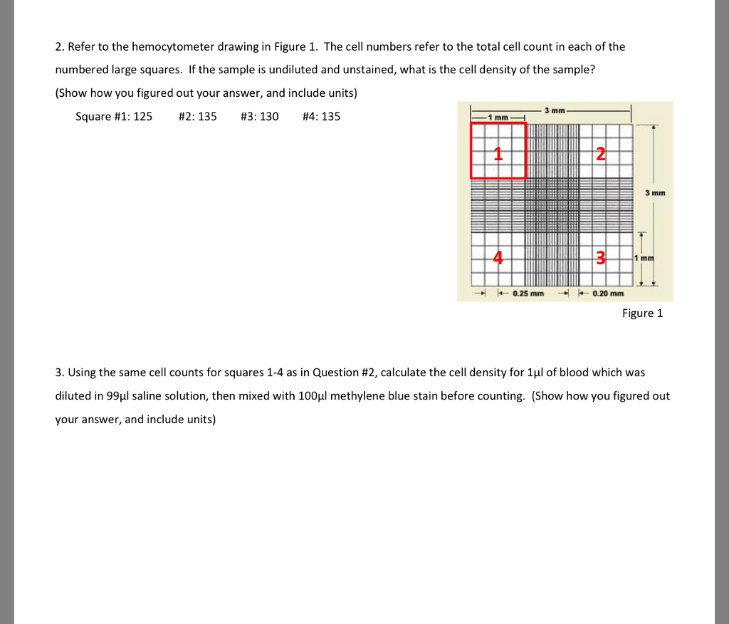 What Is A Hemocytometer Definition Calculation Counting