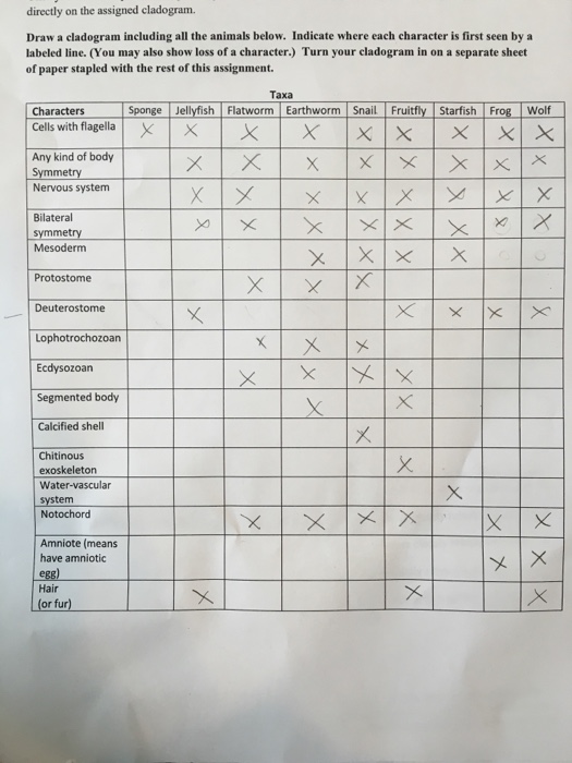 Draw a cladogram including all the animals below. | Chegg.com