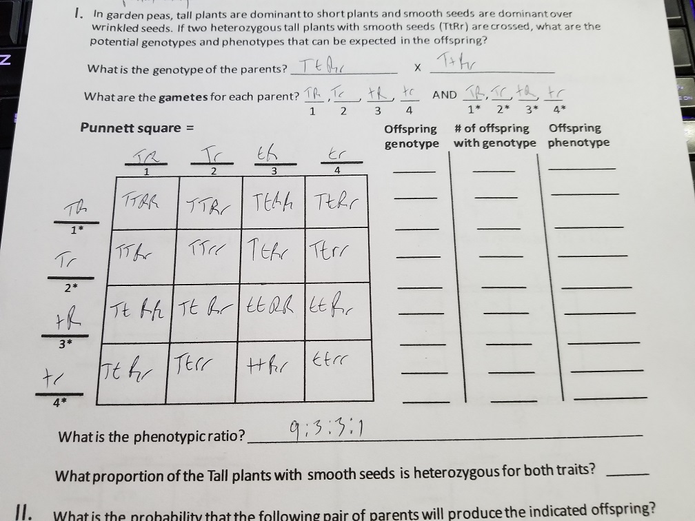 Solved I. In garden peas, tall plants are dominant to short | Chegg.com