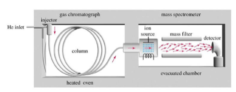 Solved How does He inlet, injector, column, heated oven, ion | Chegg.com