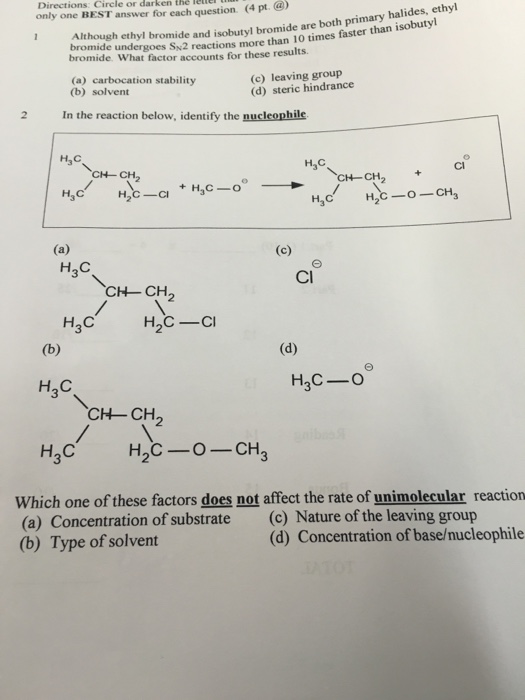 Solved Although ethyl bromide and isobutyl bromide are both
