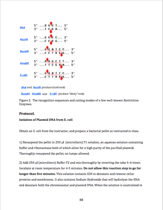 Solved Week 10 Restriction enzyme PostLab Questions