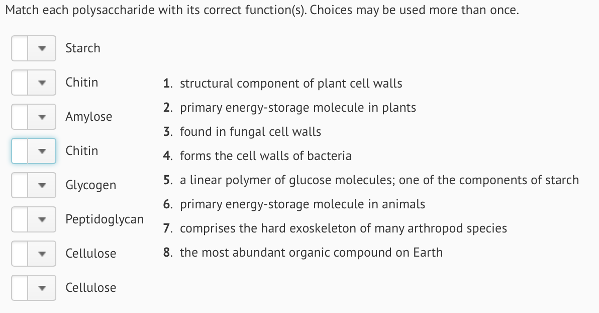 solved-match-each-polysaccharide-with-its-correct-chegg