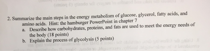 Solved Summarize the main steps in the energy metabolism of | Chegg.com