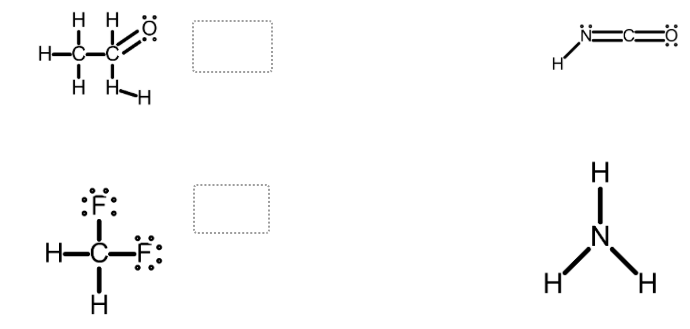 Solved The octet rule states that atoms in molecules share | Chegg.com