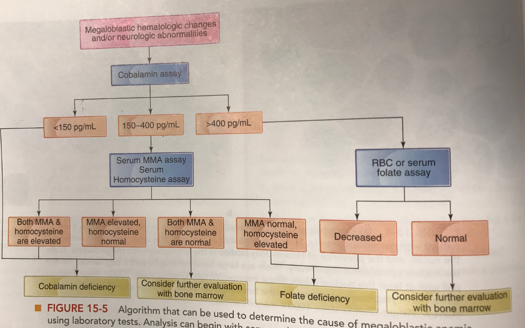 Megaloblastic hematologic changes and/or neurologic