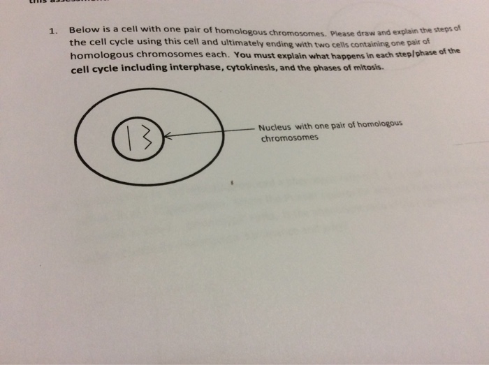 Solved Below is a cell with one pair of homologous | Chegg.com