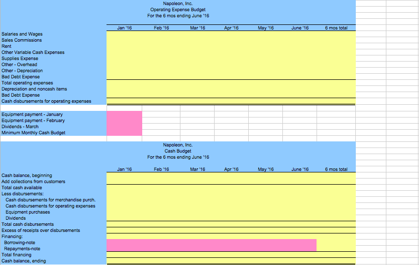 Solved INFORMATION FOR NAPOLEON, INC. BUDGET PROJECT