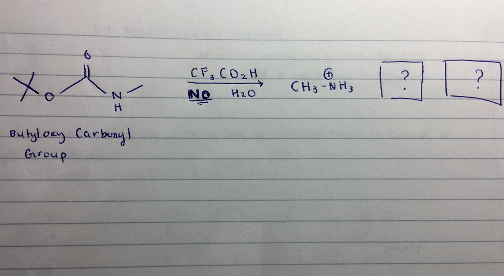 Solved CF3 C02H No H20 2 CH3NH3 CL Y nroup | Chegg.com