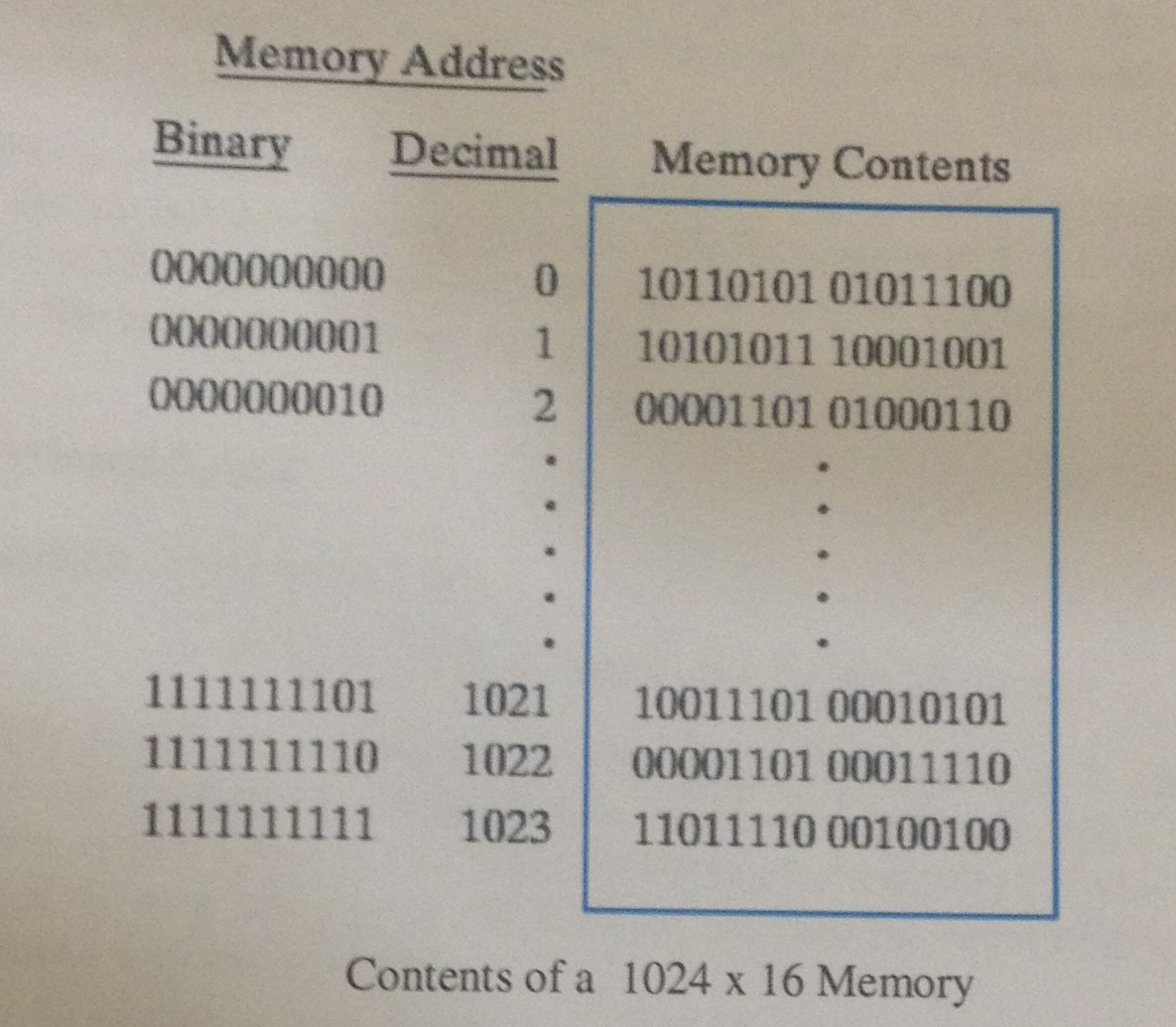 10 Bit Address Solved Word address line (835)_10 in the memory shown below | Chegg.com
