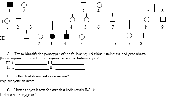 Solved A. Try to identify the genotypes of the following | Chegg.com