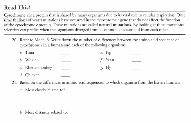 Solved Model 3-Comparing the Cytochrome c Gene Amino Acid | Chegg.com