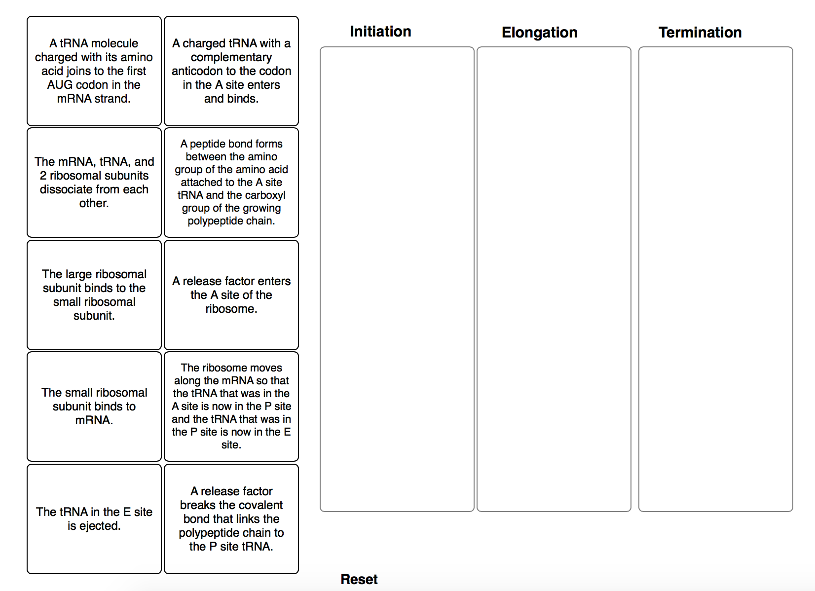 solved-stages-of-translation-match-each-event-with-the-chegg