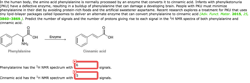 Solved In the human body, the amino acid phenylalanine is | Chegg.com