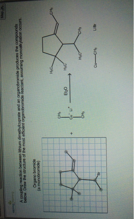Solved a coupling Reaction between lithium dimethylcuprate | Chegg.com