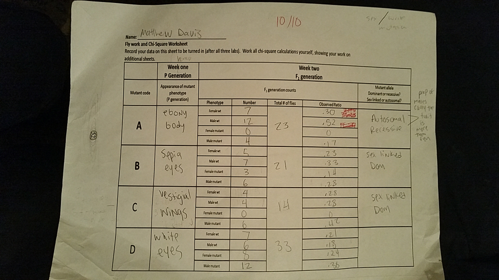 mutation-virtual-lab-worksheet-answers-transgenic-fly-lab-worksheet-student-d47egzewq7n2