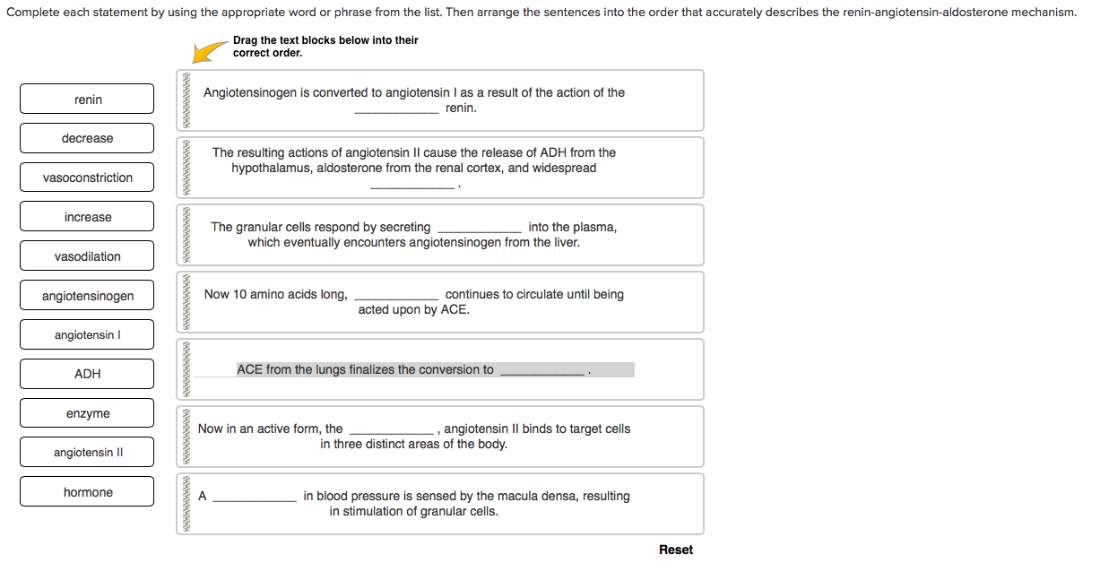 solved-complete-each-statement-by-using-the-appropriate-word-chegg