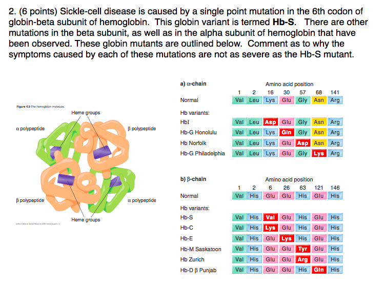 Solved 2. (6 Points) Sickle-cell Disease Is Caused By A | Chegg.com