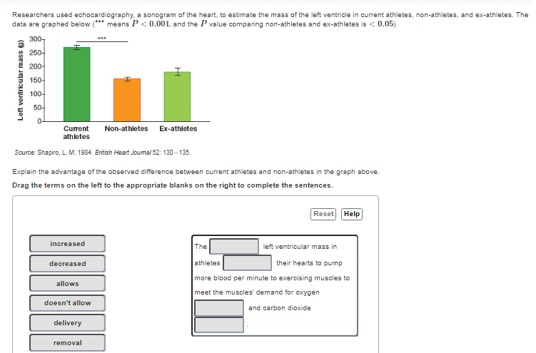 Cellular respiration essay 1990