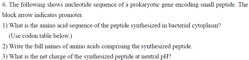 Solved 6. The following shows nucleotide sequence of a | Chegg.com