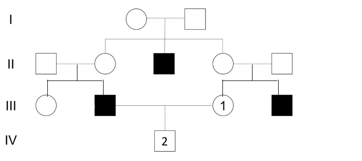 Solved The following diagram shows the inheritance pattern | Chegg.com