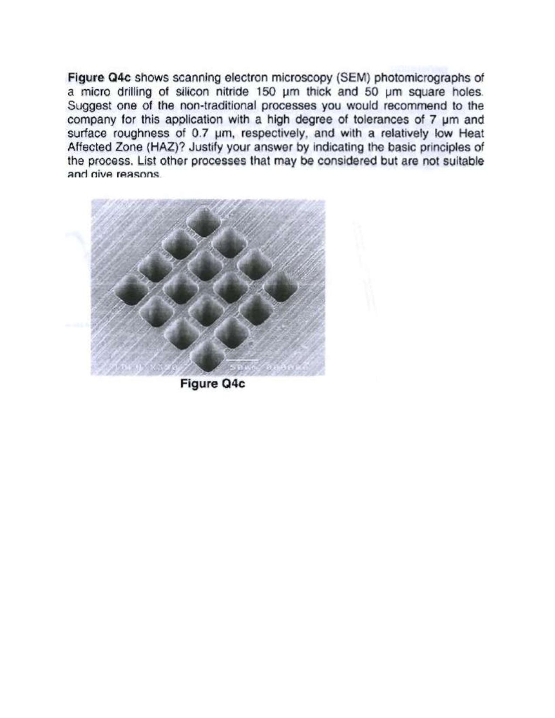 Solved Shows scanning electron microscopy (SEM) | Chegg.com