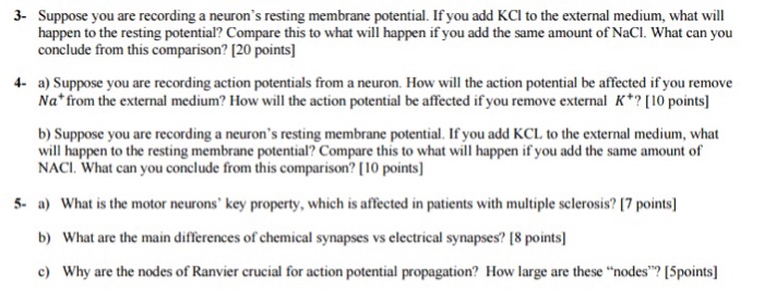 Solved Suppose you are recording a neuron's resting membrane | Chegg.com