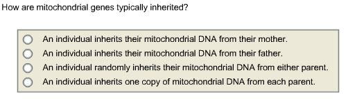 mitochondrial-defect-s-impact-likely-cause-of-inherited-syndrome