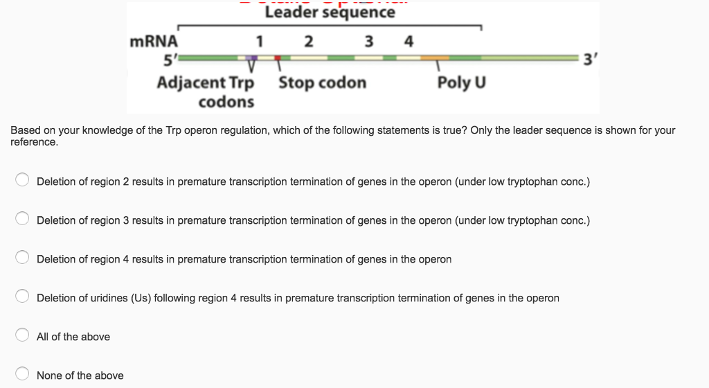 Solved Based on your knowledge of the Trp operon
