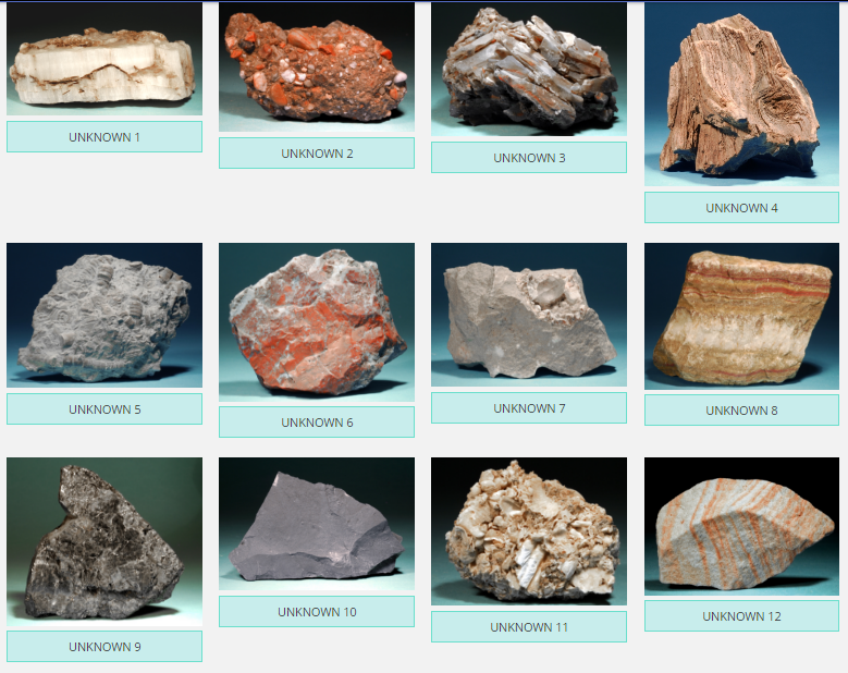 match-the-unknowns-with-the-type-of-sedimentary-rock-chegg