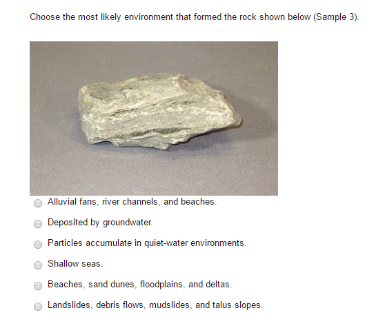 Solved Choose the most likely environment that formed the | Chegg.com